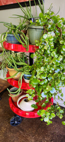 Spinning Tool Tower - Red