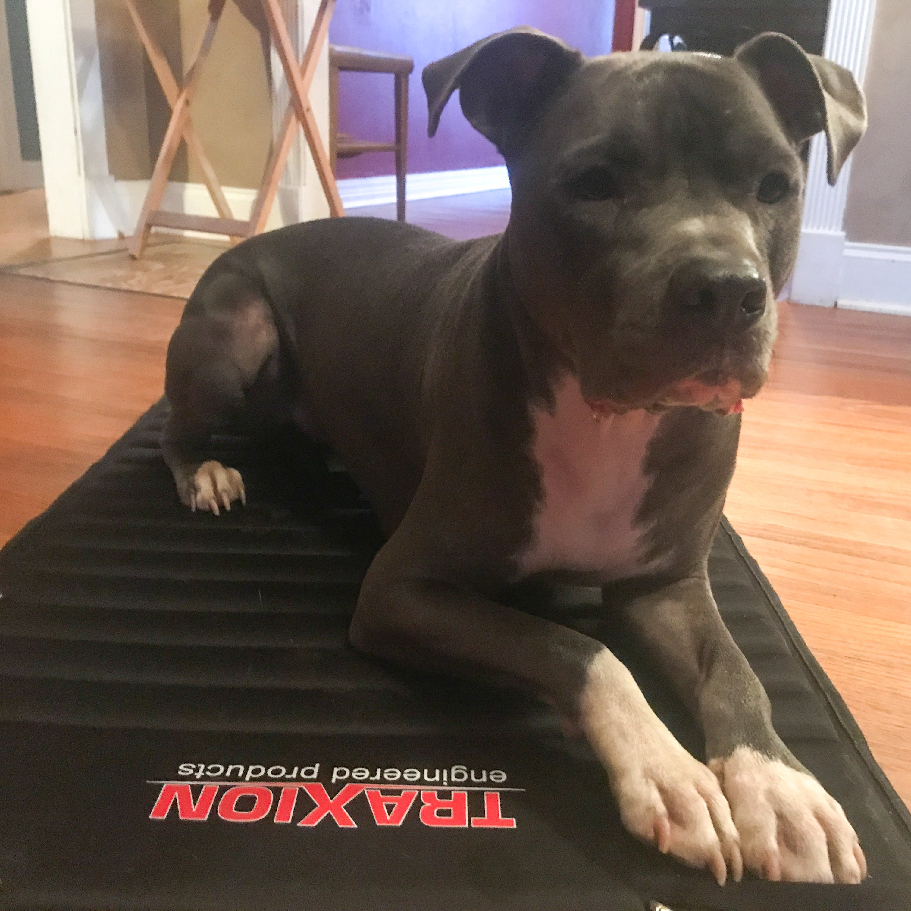 Original Traxion Versa-Mat | TraXion Engineered Products